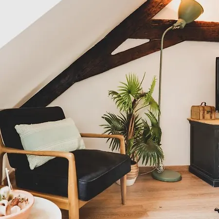 Le Double G- T2 Avec Mezzanine Idealement Place
