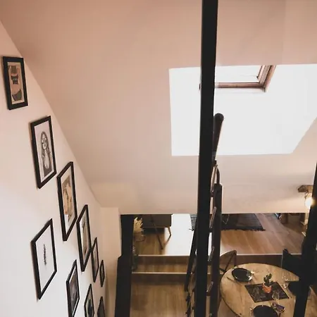 Le Double G- T2 Avec Mezzanine Idealement Place